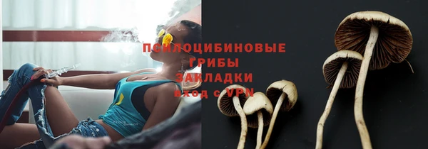 дживик Верхний Тагил
