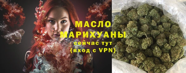 дживик Верхний Тагил