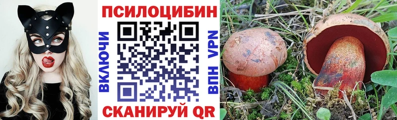Галлюциногенные грибы Psilocybe  Надым 